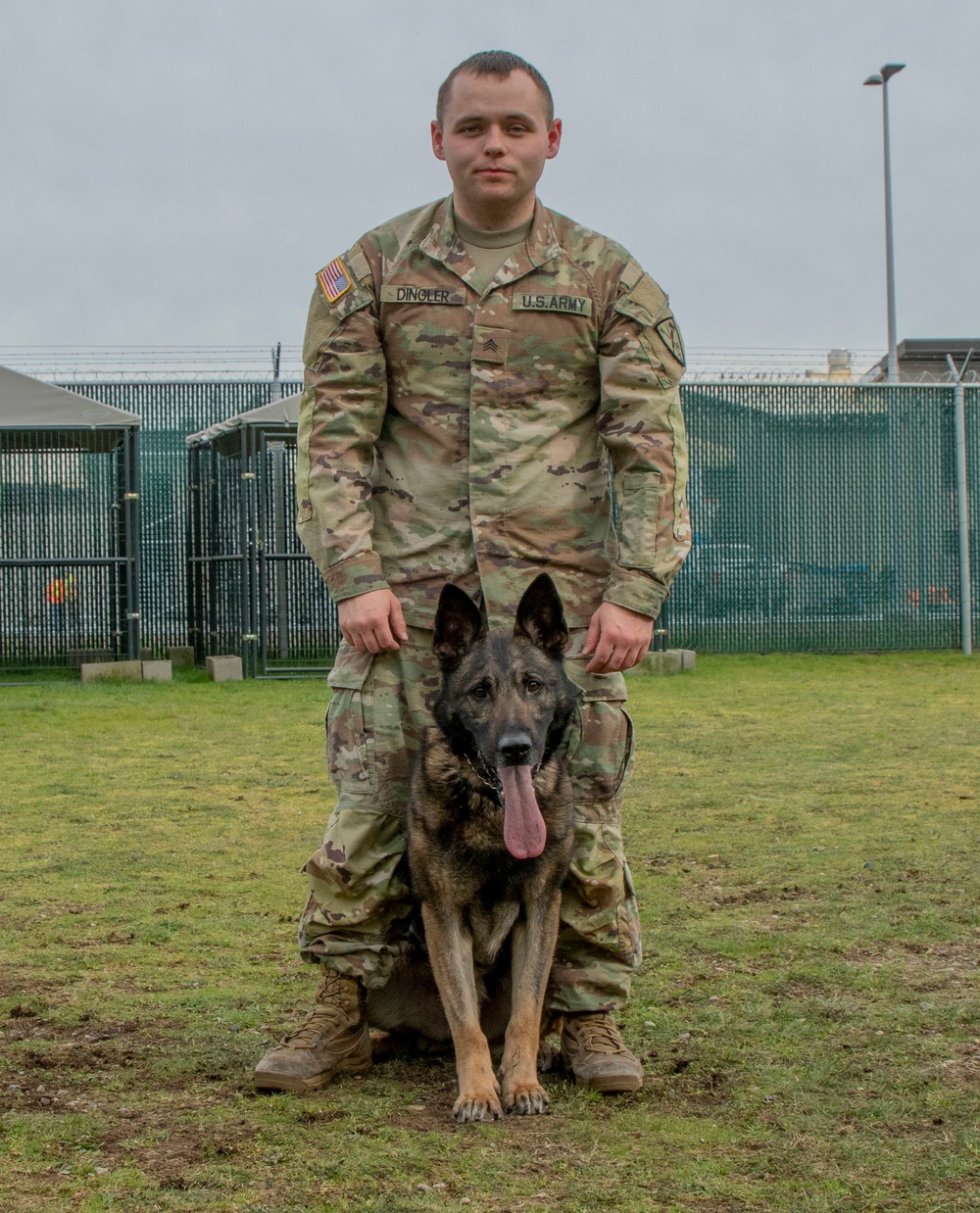 DVIDS - News - From the battlefield to a loving home: a K-9 Working Dog ...