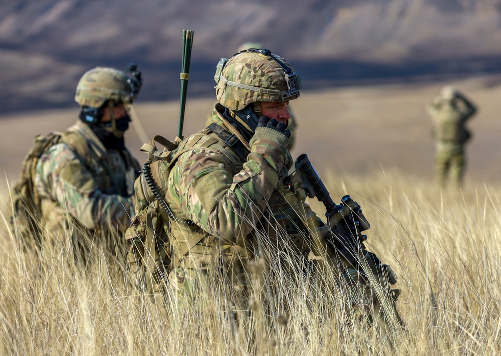 U.S. Army Soldiers work with Romanian forces during a Combined Arms Live Fire Exercise.