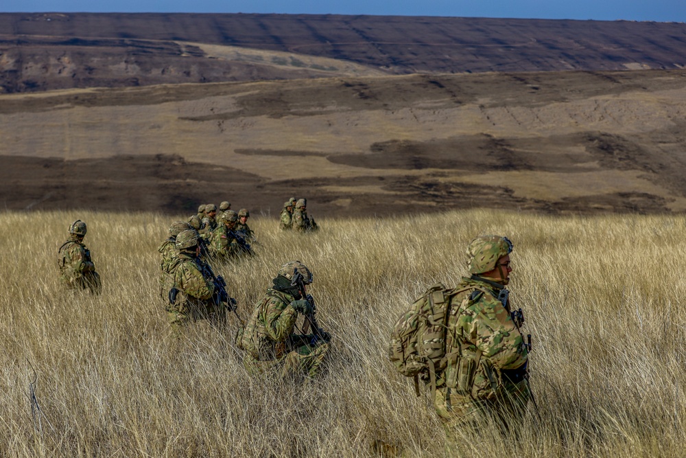 U.S. Army Soldiers work with Romanian forces during a Combined Arms Live Fire Exercise.