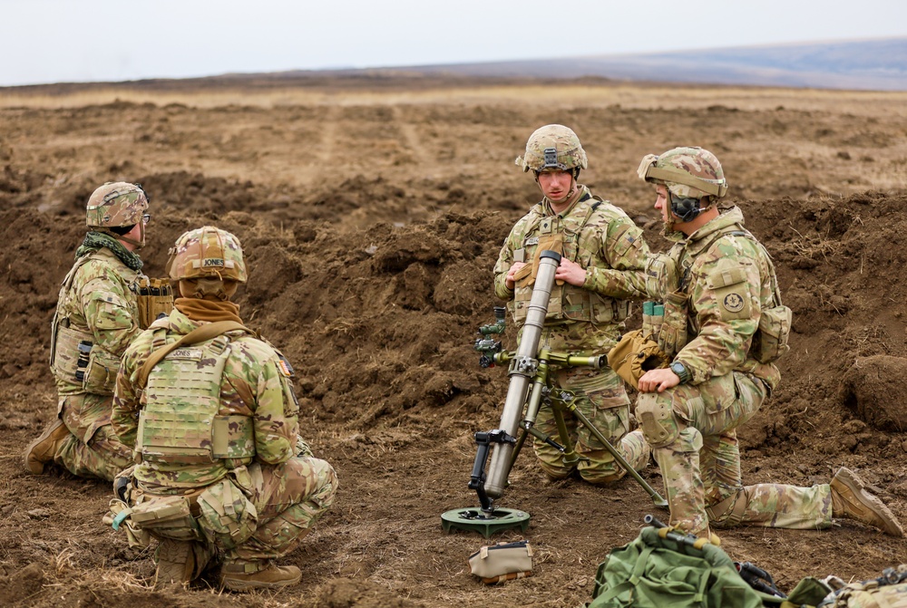 U.S. Army Soldiers work with Romanian forces during a Combined Arms Live Fire Exercise.
