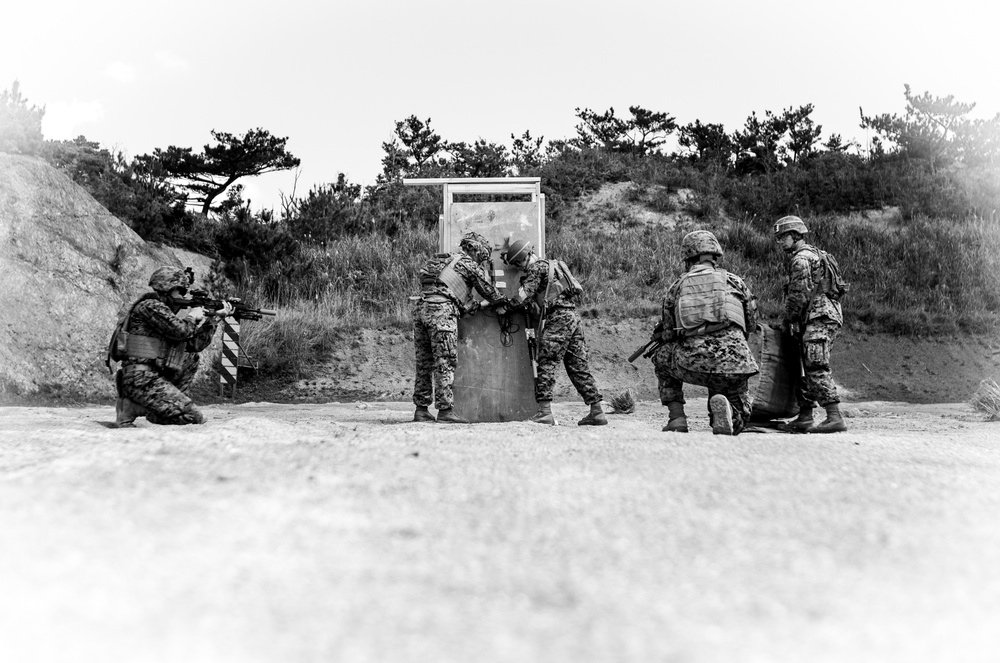 V1/3 Demolition Range