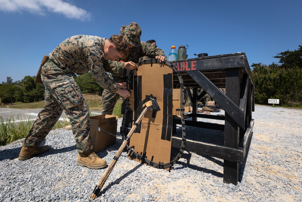 V1/3 Demolition Range