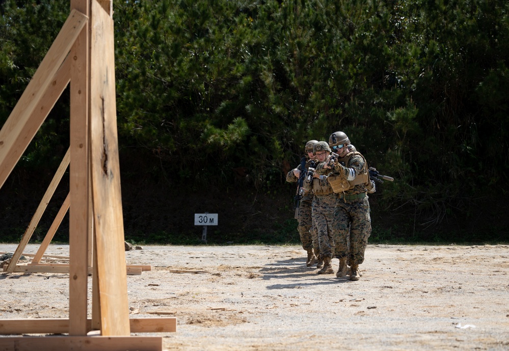 V1/3 Demolition Range