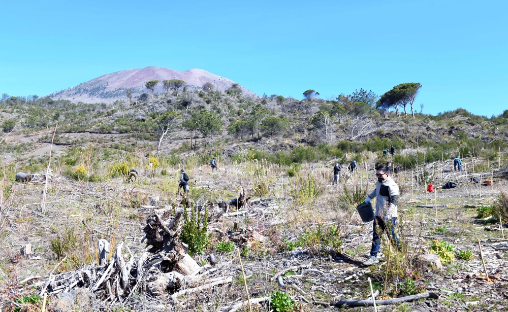 NSA NAPLES' COMMUNITY RELATIONS PROJECT AT VESUVIUS NATIONAL PARK
