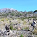 NSA NAPLES' COMMUNITY RELATIONS PROJECT AT VESUVIUS NATIONAL PARK