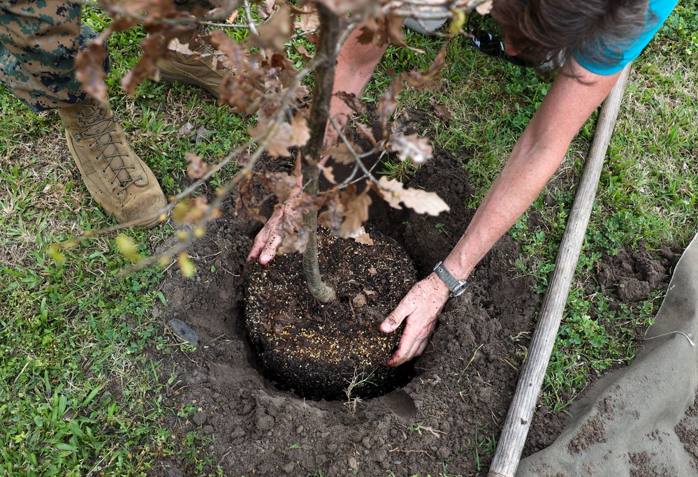 Parris Island Tree Planting Ceremony