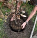 Parris Island Tree Planting Ceremony