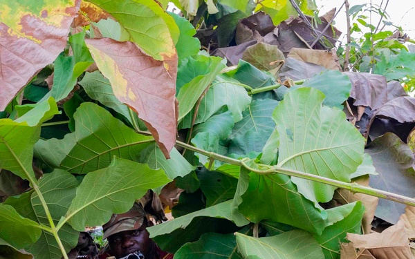 Benin Joint Combined Exchange Training