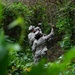 Jungle Attack with Seabees and JMSDF Members