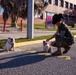 New Depot Mascot Arrives
