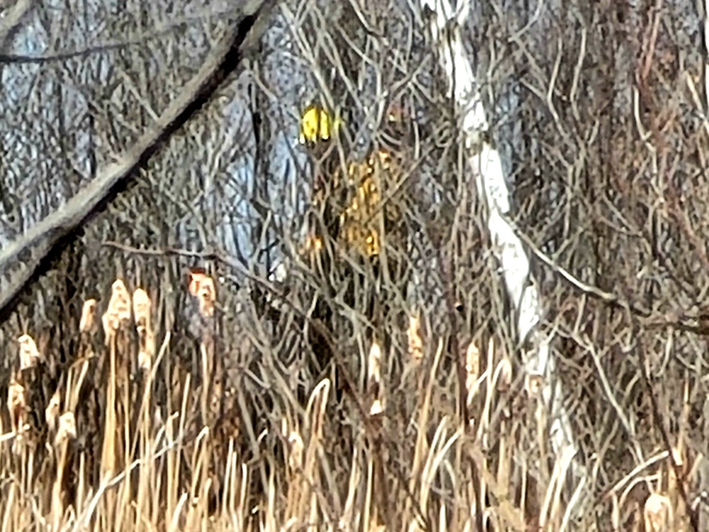2022 prescribed burn operations at Fort McCoy