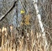 2022 prescribed burn operations at Fort McCoy