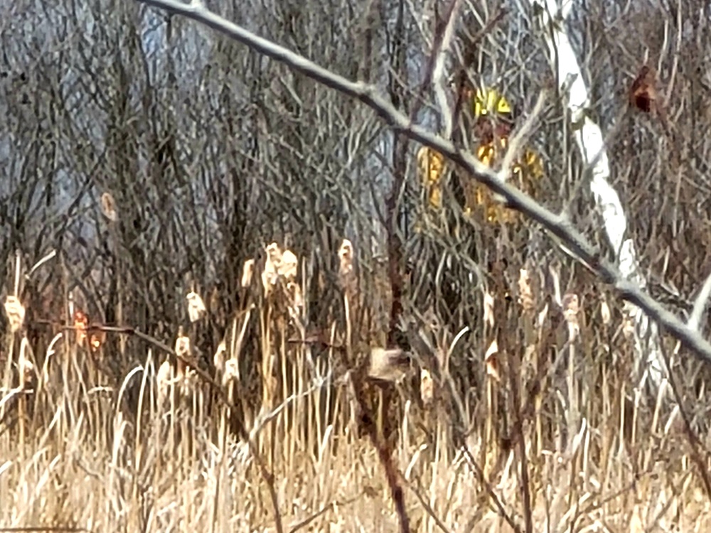 2022 prescribed burn operations at Fort McCoy