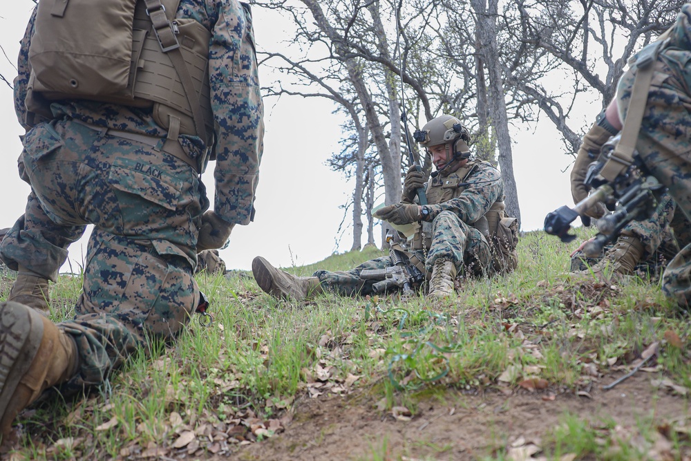 3/1 Battalion FEX
