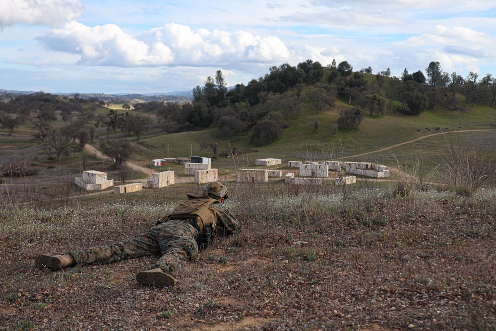 3/1 Battalion FEX