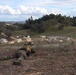 3/1 Battalion FEX