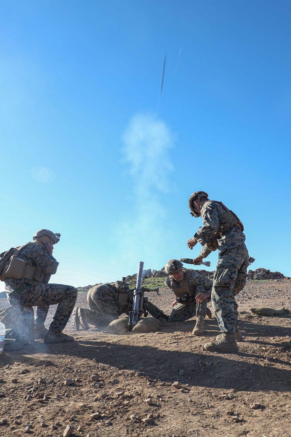 3/1 Battalion FEX