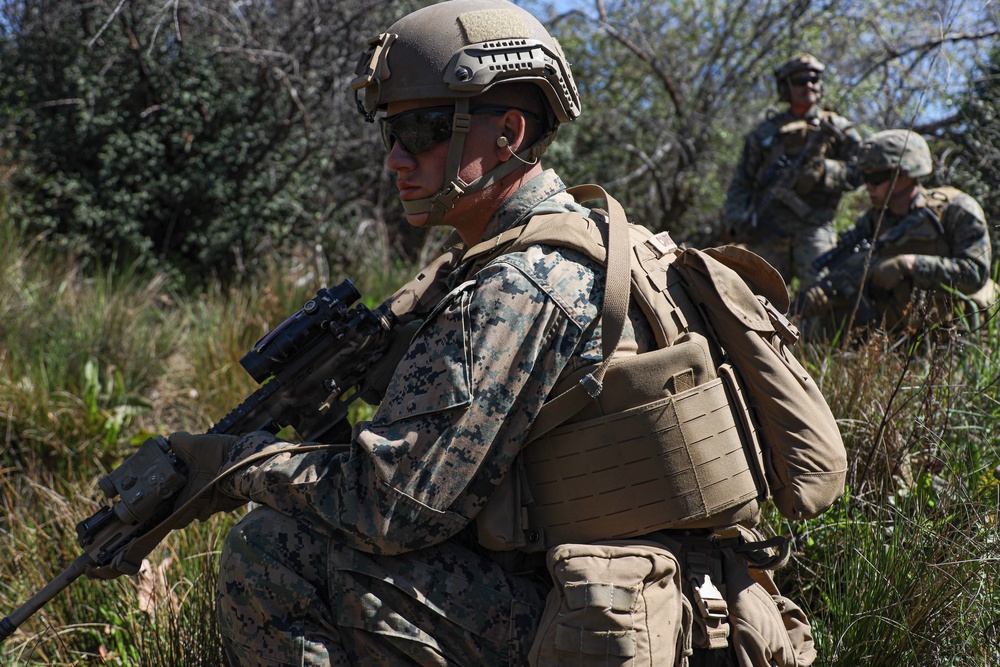 3/1 Battalion FEX