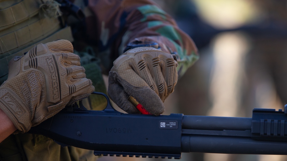 Caribbean Urban Warrior