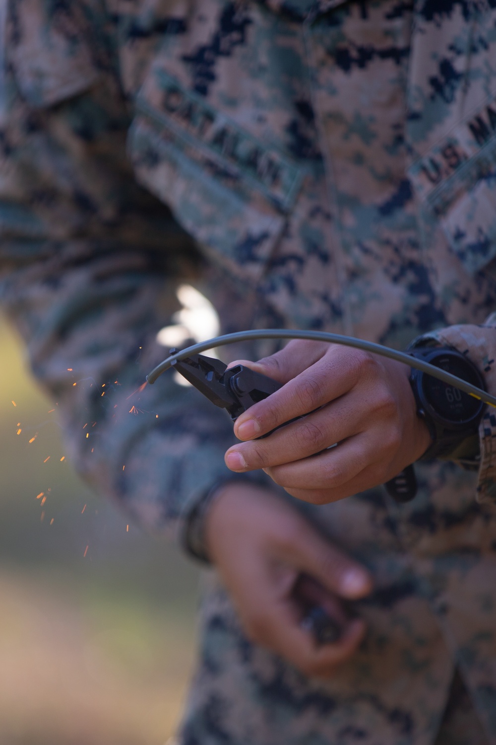 Caribbean Urban Warrior