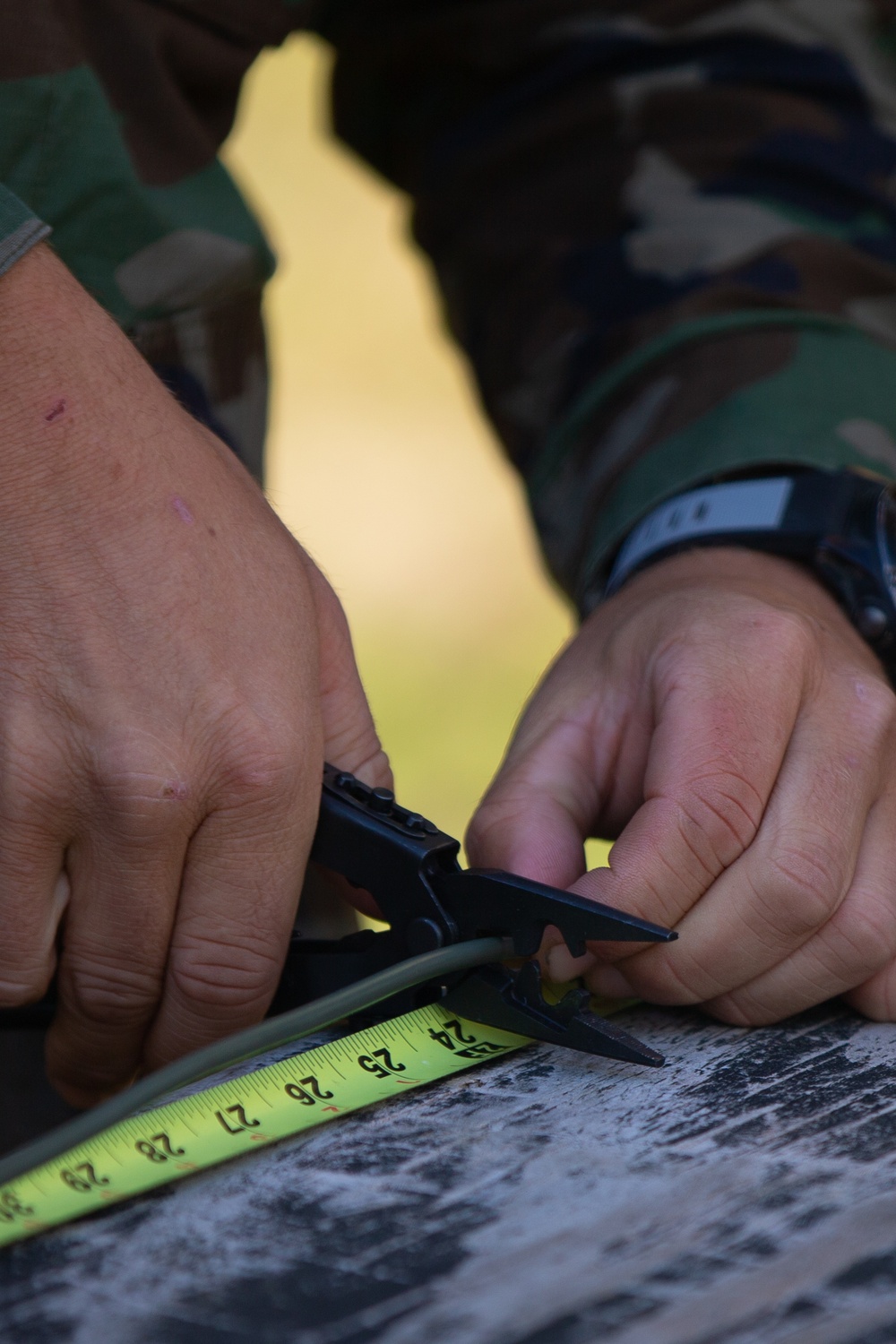 Caribbean Urban Warrior