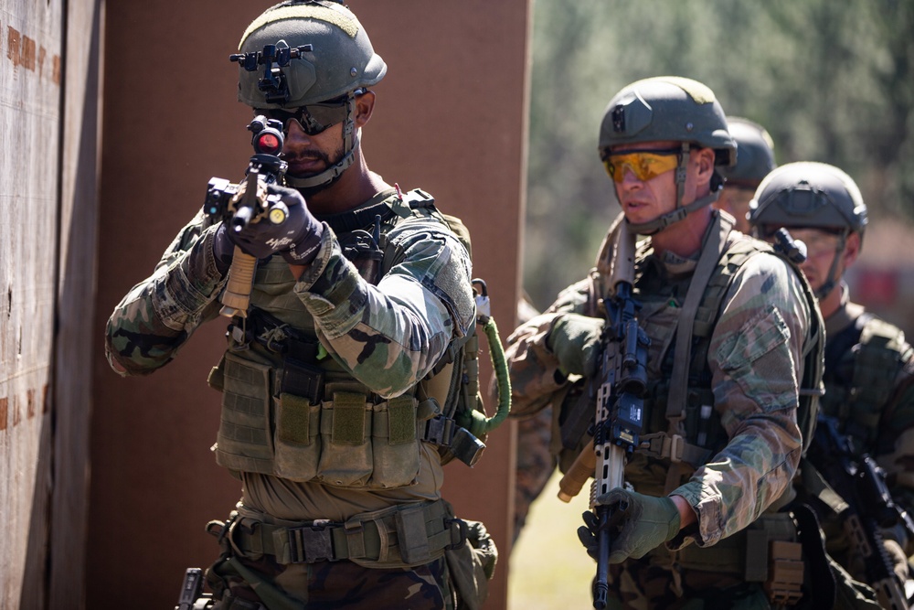 Caribbean Urban Warrior