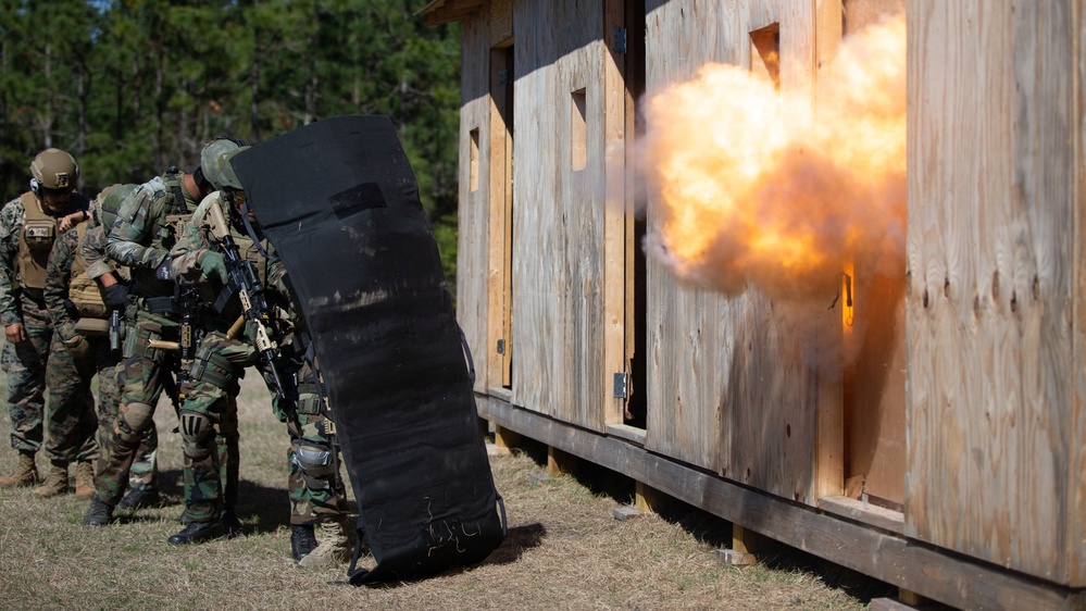Caribbean Urban Warrior