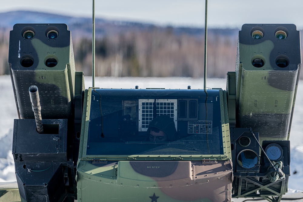 F-16s train with Avengers during AE22