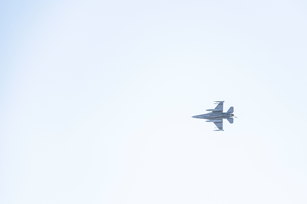 F-16s train with Avengers during AE22