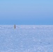 Polar bear sighting on the frozen landscape new Utqiagvik