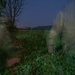 Hanuman Guardian 22: Own the Night