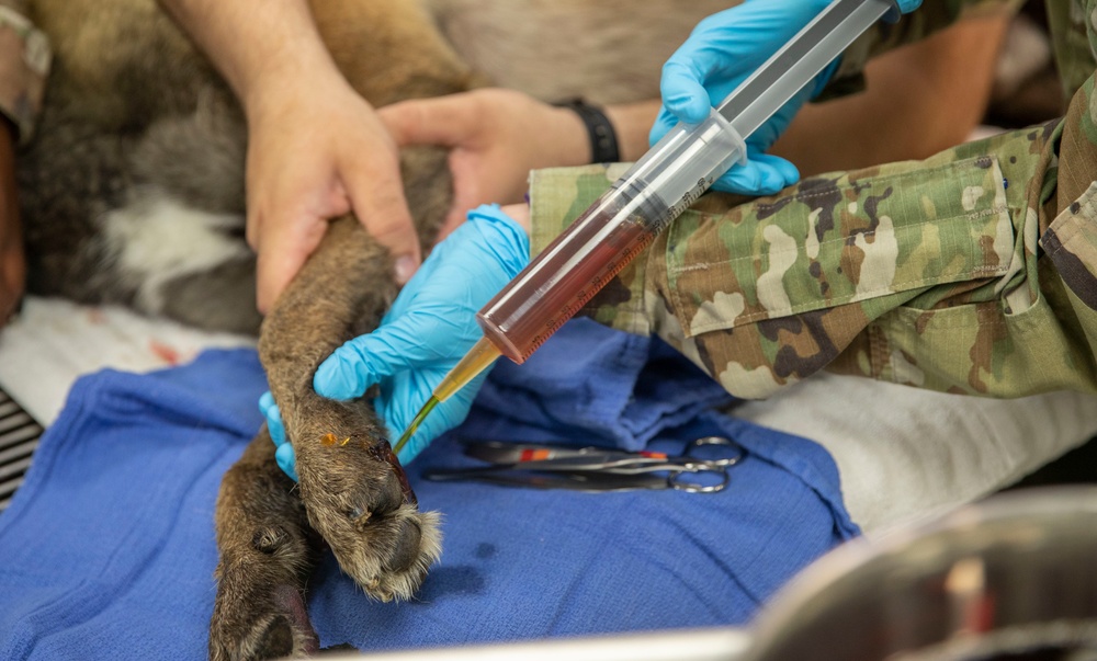 Camp Humphreys Veterinary Clinic