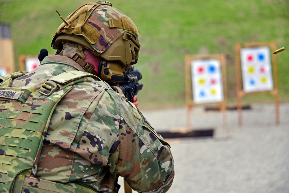 1st Battalion, 503rd Infantry Regiment, 173rd Airborne Brigade Marksmanship Training