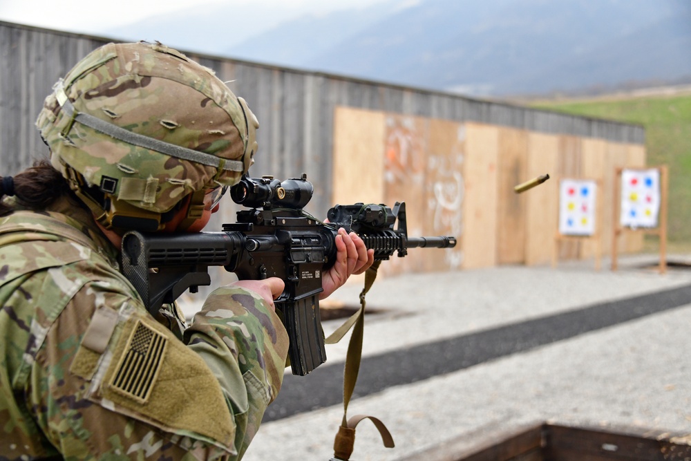 1st Battalion, 503rd Infantry Regiment, 173rd Airborne Brigade Marksmanship Training