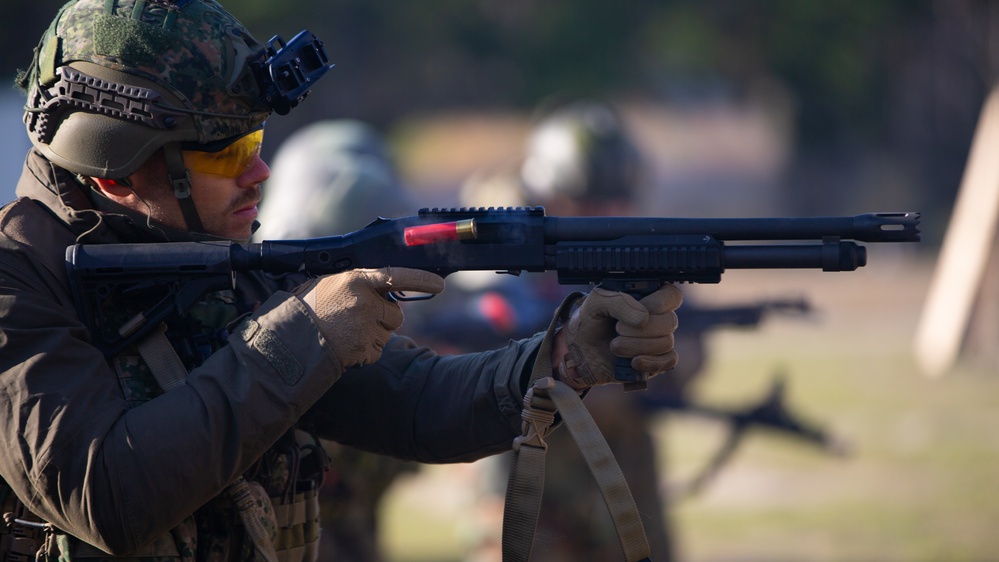 Caribbean Urban Warrior