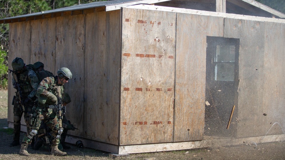 Caribbean Urban Warrior