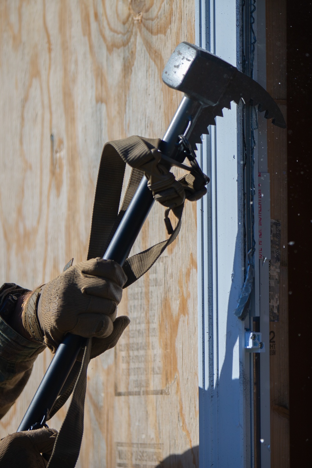 Caribbean Urban Warrior