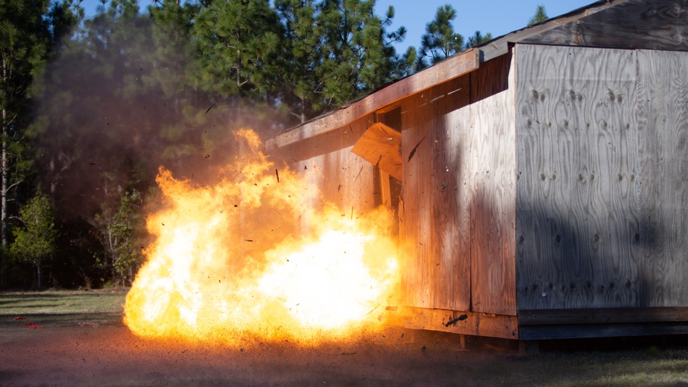 Caribbean Urban Warrior