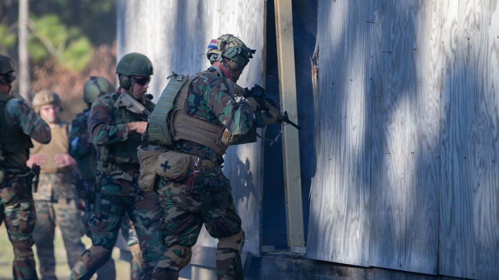 Caribbean Urban Warrior