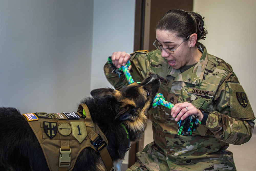 Bear Hugs for the Troops