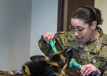 Bear Hugs for the Troops