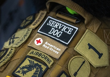 Bear Hugs for the Troops