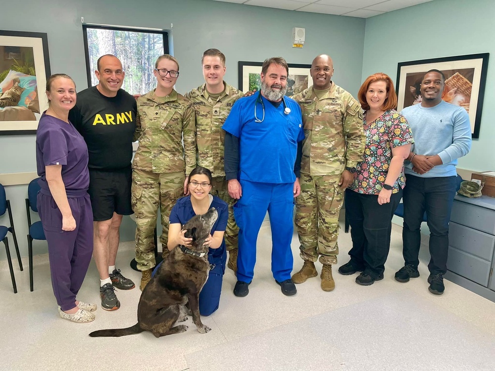 Vet staff recognized on National K9 Veterans Day
