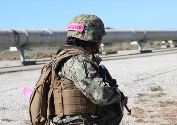 CECOS Basic Class 272 FTX