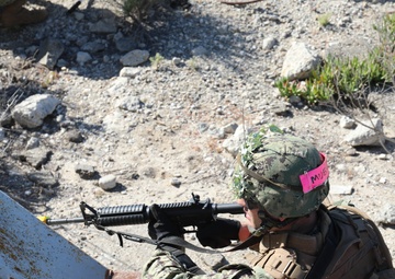 CECOS Basic Class 272 FTX