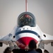 Thunderbirds perform for COMACC certification