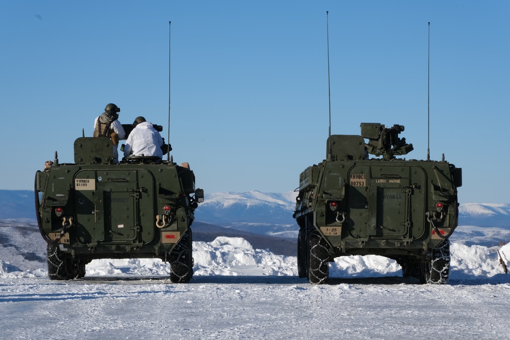 1-5 Infantry Strykers Survey the Range