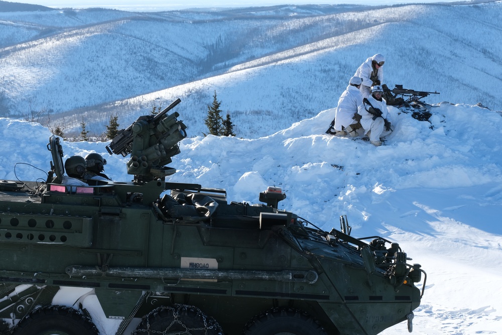 1-5 Infantry Conducts a Live Fire Exercise (4 of 6)