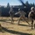 Washington Army National Guard Soldiers fly first class during state Best Warrior Competition