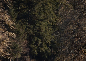 Washington National Guard 2022 Best Warrior competitors map out their next challenge